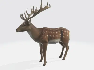 A brown deer with large antlers 3D model