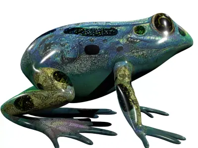 Poison Dart Frog Rig Low-poly 3D model