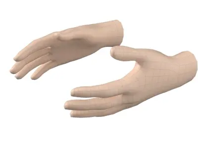 Female Hand Base Mesh 06 3D model