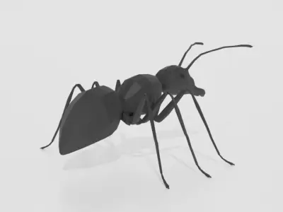 Low Poly Cartoon Ant Low-poly 3D model