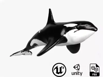 Killer Whale Model 17 Animations  Low-poly 3D model