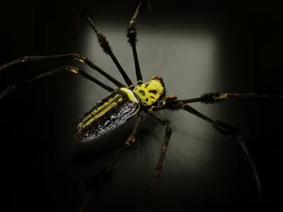 Trichonephila - Golden Silk Orb-weaver Low-poly 3D model