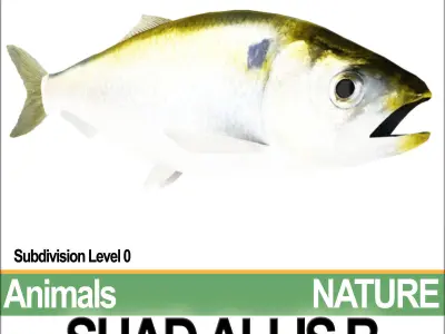 Allis Shad B 3D model