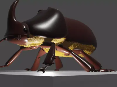 european rhino beetle Low-poly 3D model