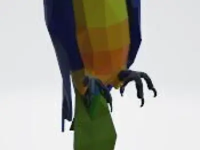 Macaw - low poly Low-poly 3D model