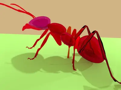 Insect ant 3D model