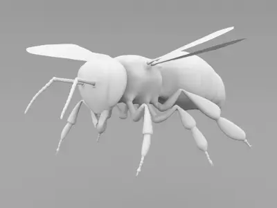 Realistic Bee 3D model
