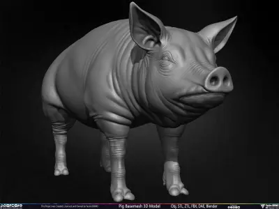 Pig Basemesh 3D Model Low-poly 3D model