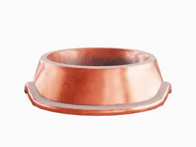 Metal Dog Bowl 01 Low-poly 3D model