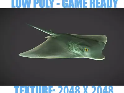 Ray 01 Low-poly 3D model