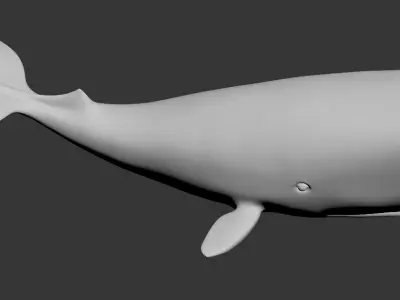 whale without textures sculpture  high-poly  3D model