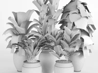 plant collection RPM 02 3D model
