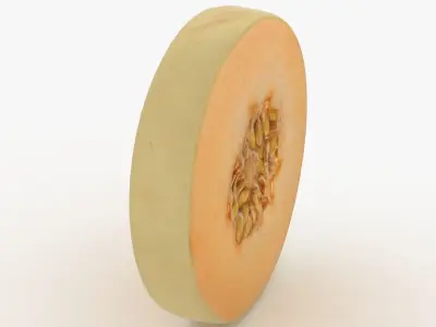 Round Slice Orange Honeydew Melon 3D model