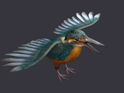 hummingbird humming bird kolibri animal tiny 3D model