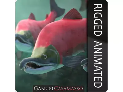 Oncorhynchus Nerka - The Red Sockeye Salmon 3D model