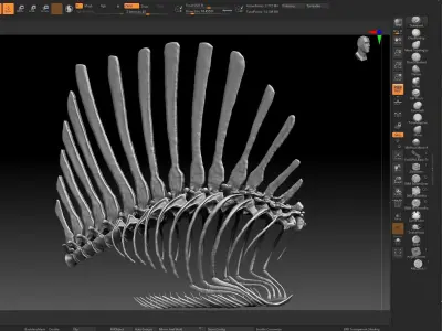 Spinosaurus 2020 version Rib Set Skeletons Sculpt Project 3D model