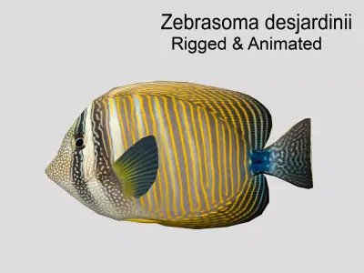 Zebrasoma desjardinii Realistic Animated Low-poly 3D model