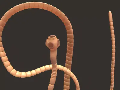 TapeWorm snake chain 3D model