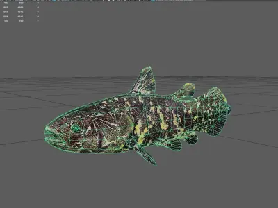 Coelacanth Low-poly 3D model