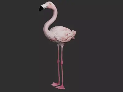 Flamingo 3D model
