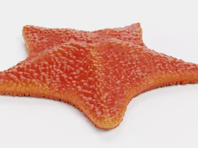 -Bat Starfish - Red- 3D model