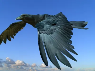 Crow modeling and rigged For 3d max Low-poly 3D model