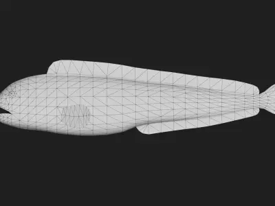 Wolffish Low-poly 3D model