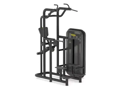 Technogym Bench Kneeling Easy Chin Dip 3D model