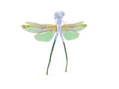 Vibrant Dragonfly model pack Low-poly 3D model
