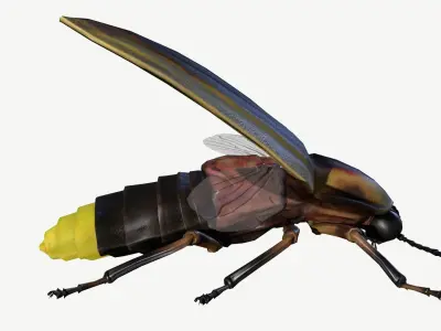 Firefly Low-poly 3D model