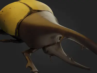 Beetle horned reptile with long tail Low-poly 3D model