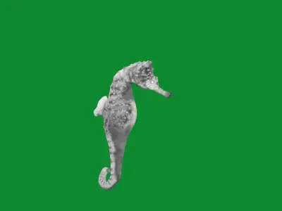 Seahorse Fish Low-poly 3D model