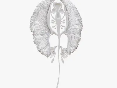 stingray fish bone Low-poly 3D model