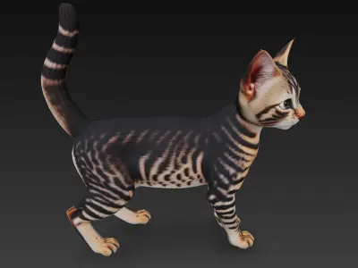 Cat Tabby Realistic 3D Model Basic - Low Poly Realistic Low-poly 3D model