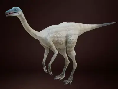 Struthiomimus dinosaur Low-poly 3D model