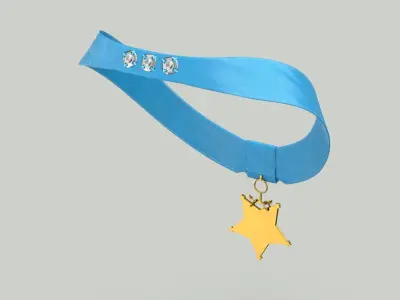 Medal of Honor Navy Worn 3D model