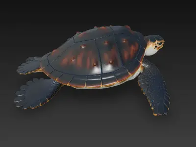 Sea Turtle Realistic 3D Model - Low Poly Realistic Low-poly 3D model