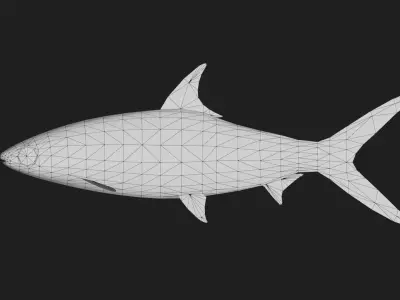 Chanos Low-poly 3D model