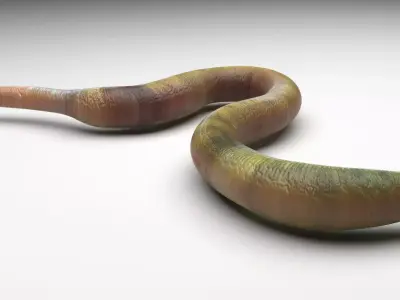 Green Worm 3D model