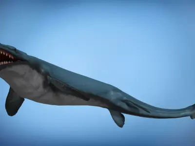 Basilosaurus Asset Pack Low-poly 3D model