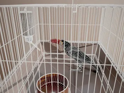 Bird cage house 3D model