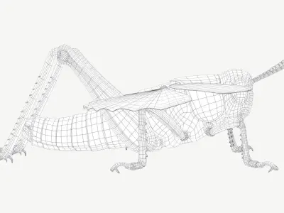 Grasshopper Low-poly 3D model