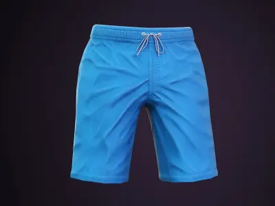 Beach Shorts 3D model
