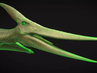 Pteranodon The Winged Ruler of the Cretaceous Skies  Low-poly 3D model