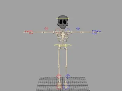 Skeleton Fully Rigged 3D model