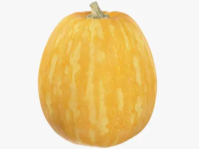 Pumpkin V4 3D model