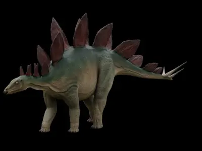 Stegosaurus dinosaur Low-poly 3D model