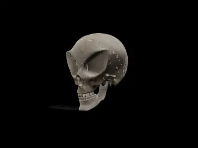 Alien low poly game ready Skull Low-poly 3D model
