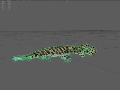 Spottedgar Low-poly 3D model