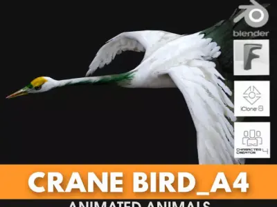 Crane Bird A4 3D model